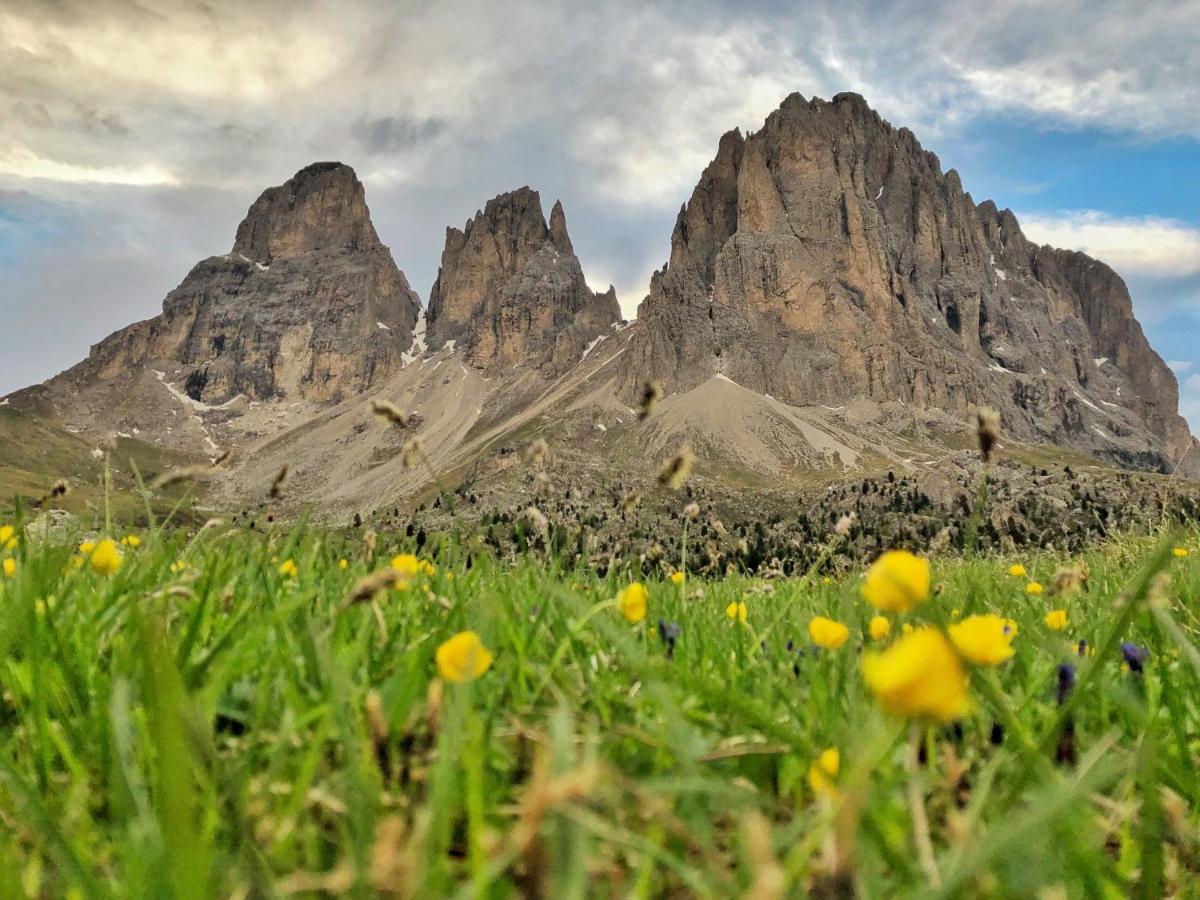 Passo Sella Dolomiti Mountain Resort Сельва-ді-Валь-Гардена Екстер'єр фото