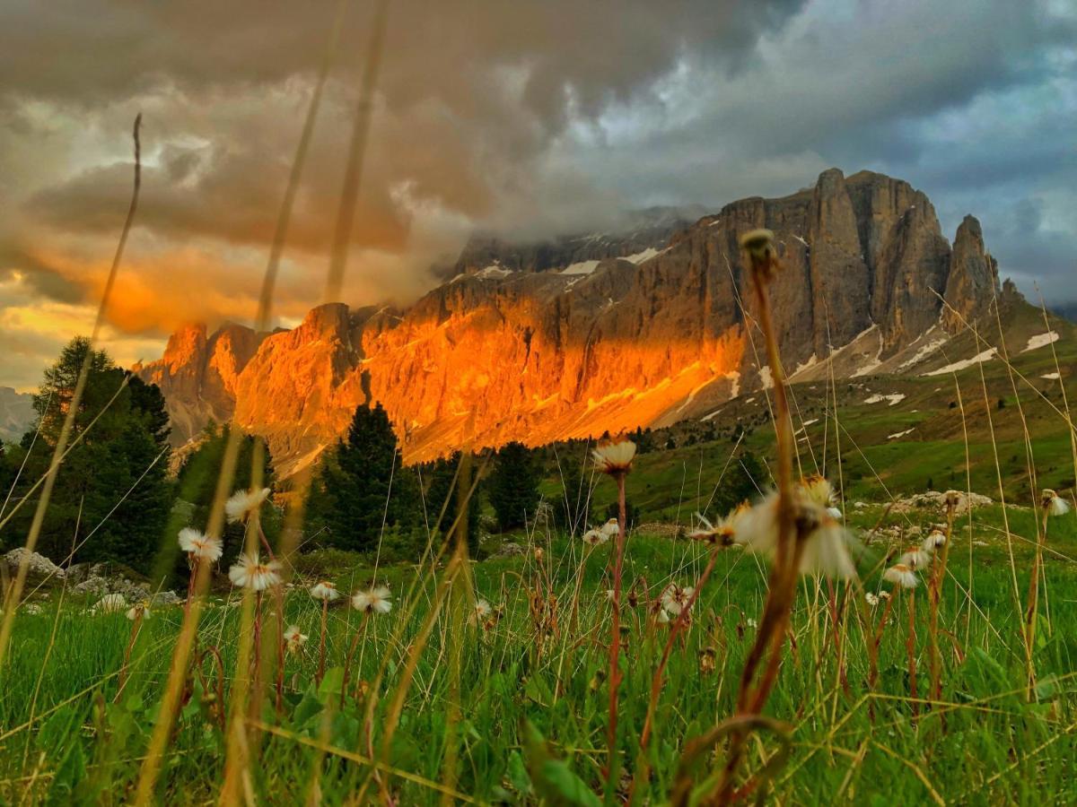 Passo Sella Dolomiti Mountain Resort Сельва-ді-Валь-Гардена Екстер'єр фото